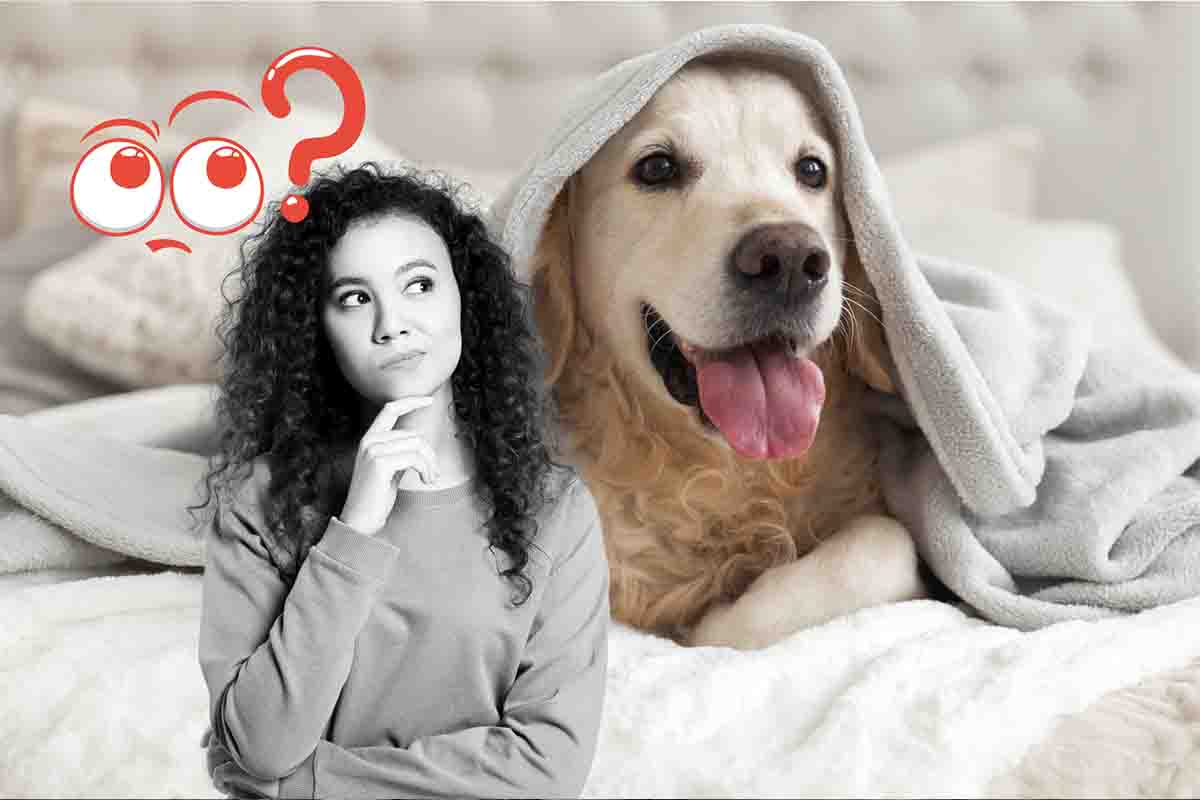 animali che non puoi tenere in casa