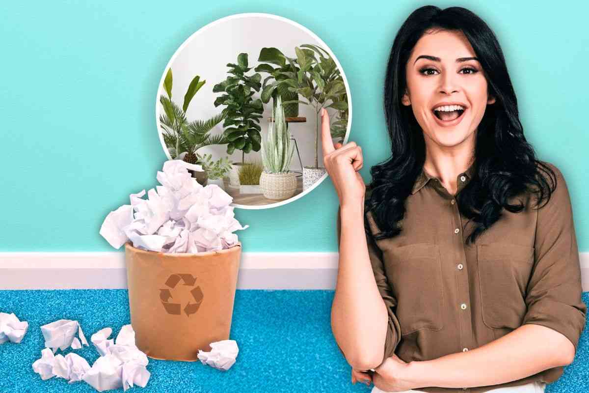 Recycle old leaves, they can become growing plants: here's how
