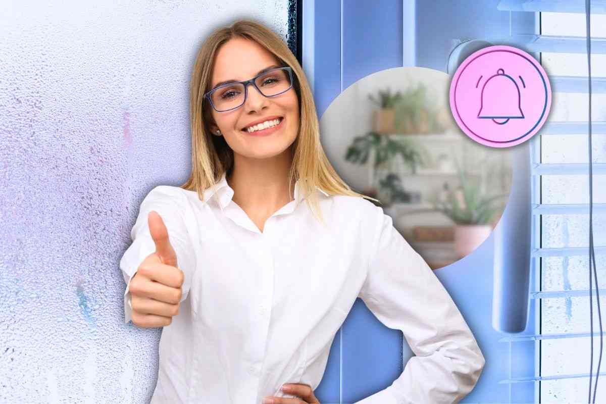piante che evitano la condensa