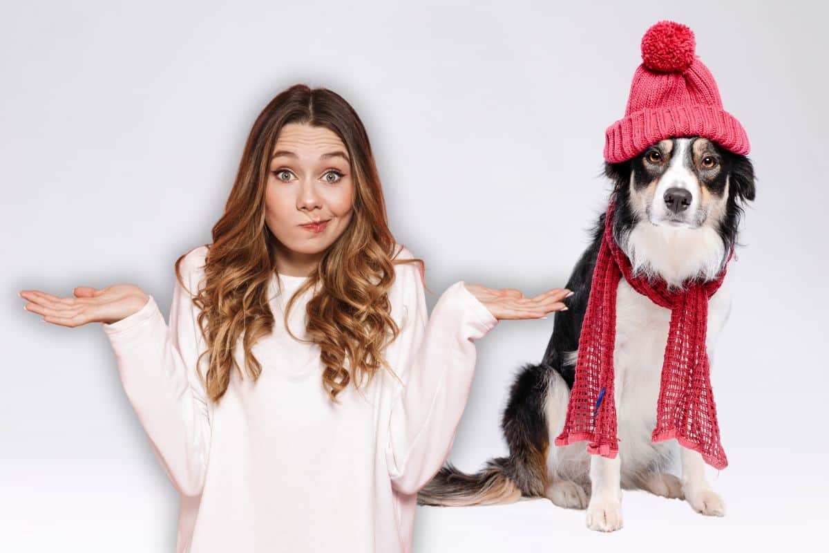 cosa significa fa un freddo cane