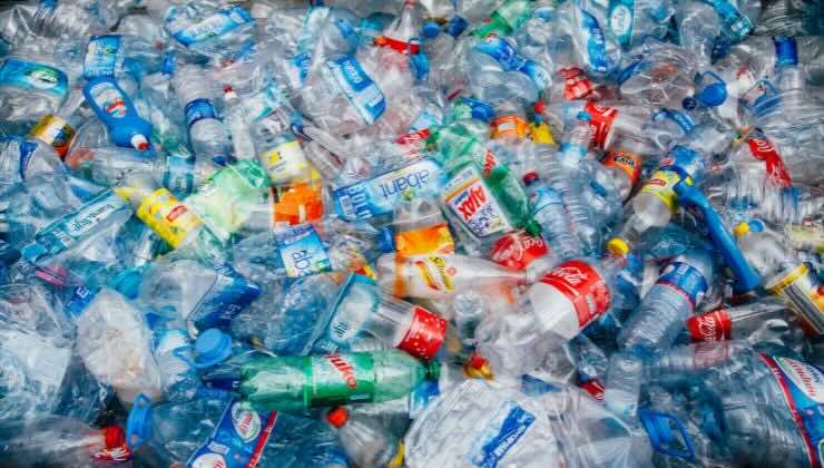 grande isola di plastica a rischio