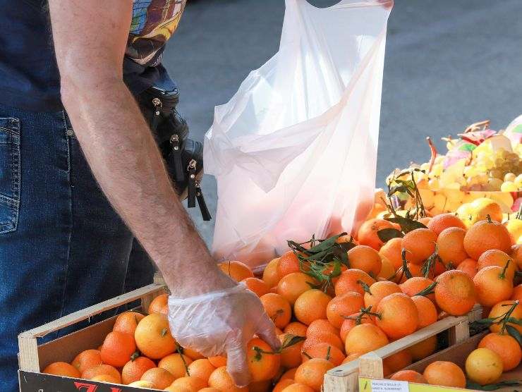 organizzazione salva cibo