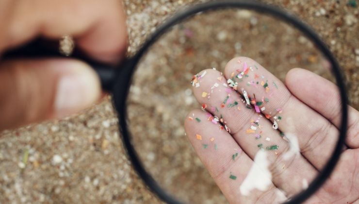 microplastica nel cibo