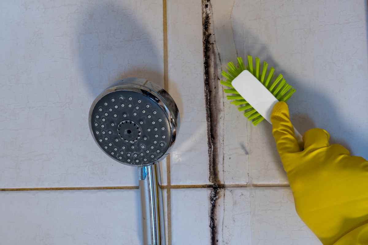 rimedi muffa bagno