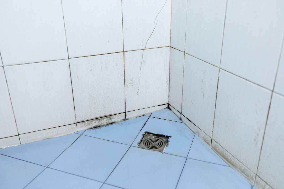 3 idee per dire addio alla muffa in bagno