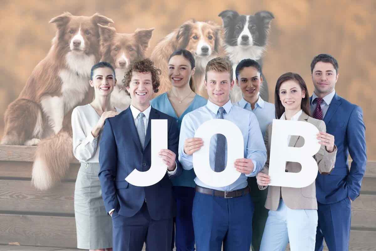 nuove assunzioni in tutta italia