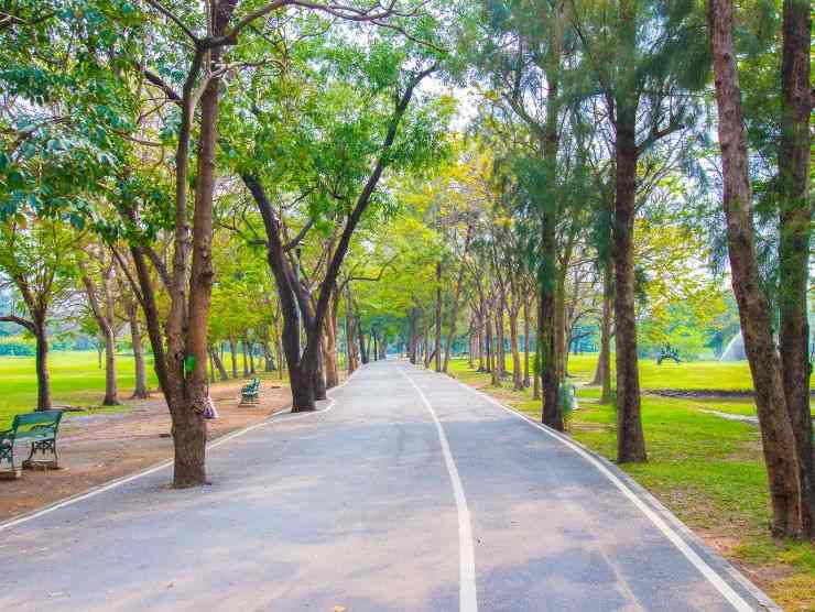 classifica città green europa italiane