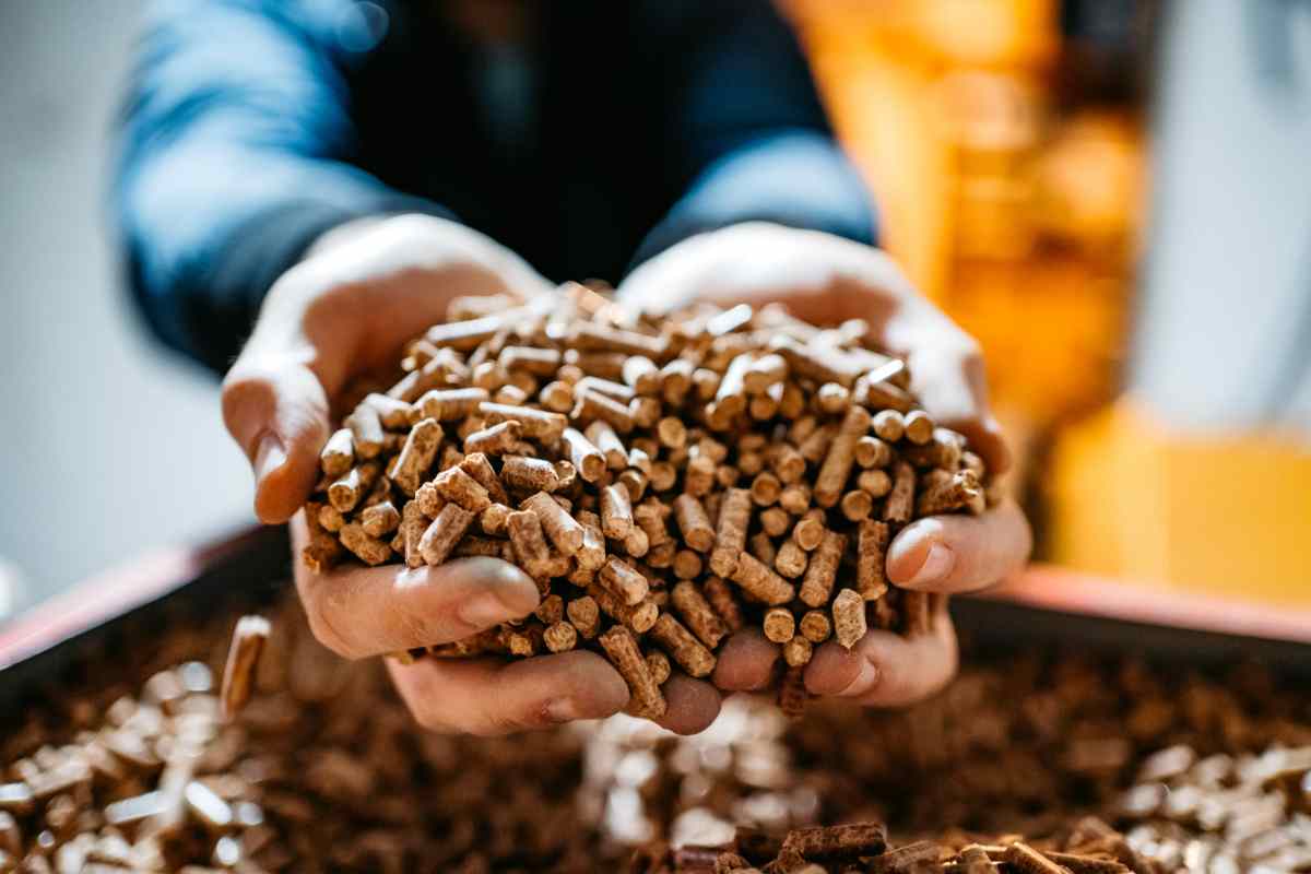 Le differenze tra pellet chiaro e scuro