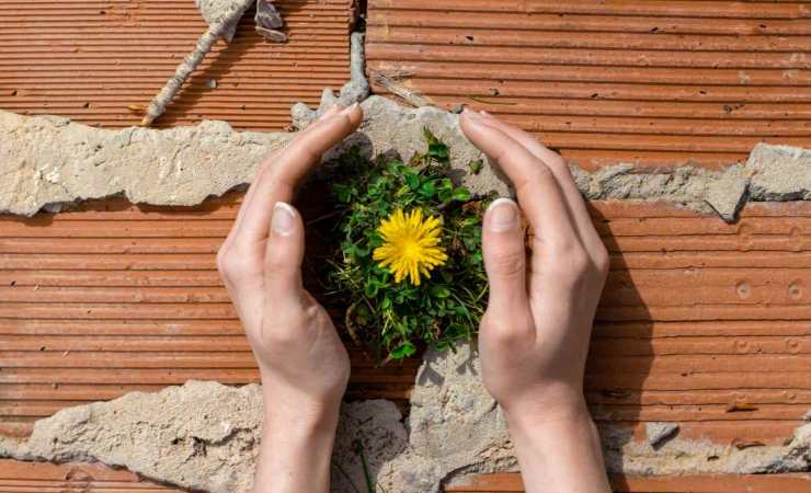 Cosa sta facendo l'Italia per proteggere l'ambiente