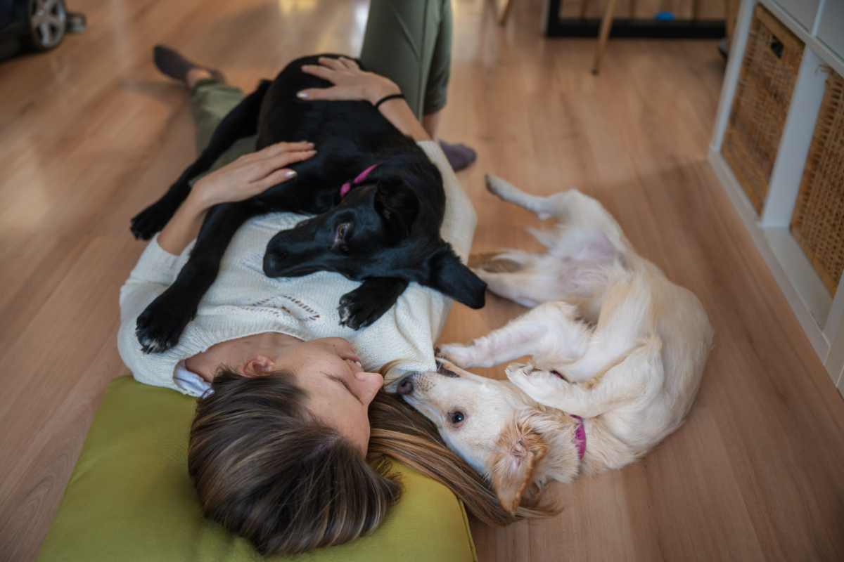 Tieni occupato il tuo cane così