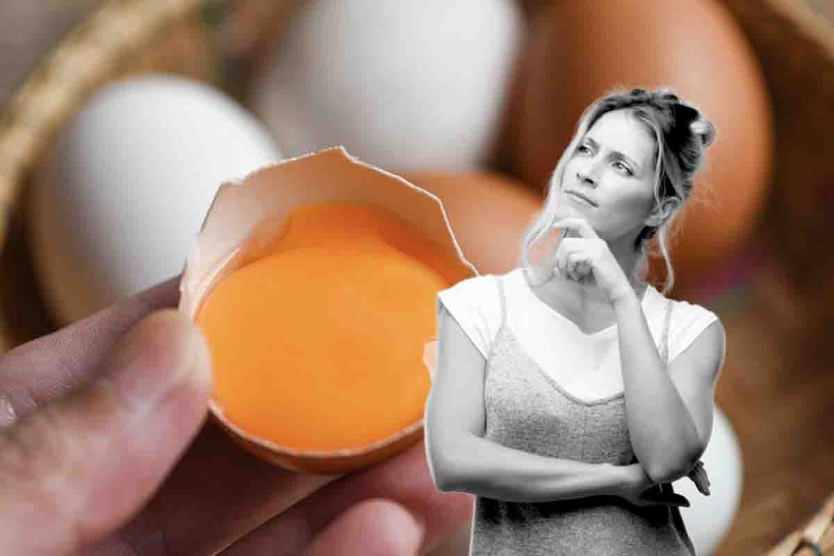 Gusci delle uova: perché farli bollire