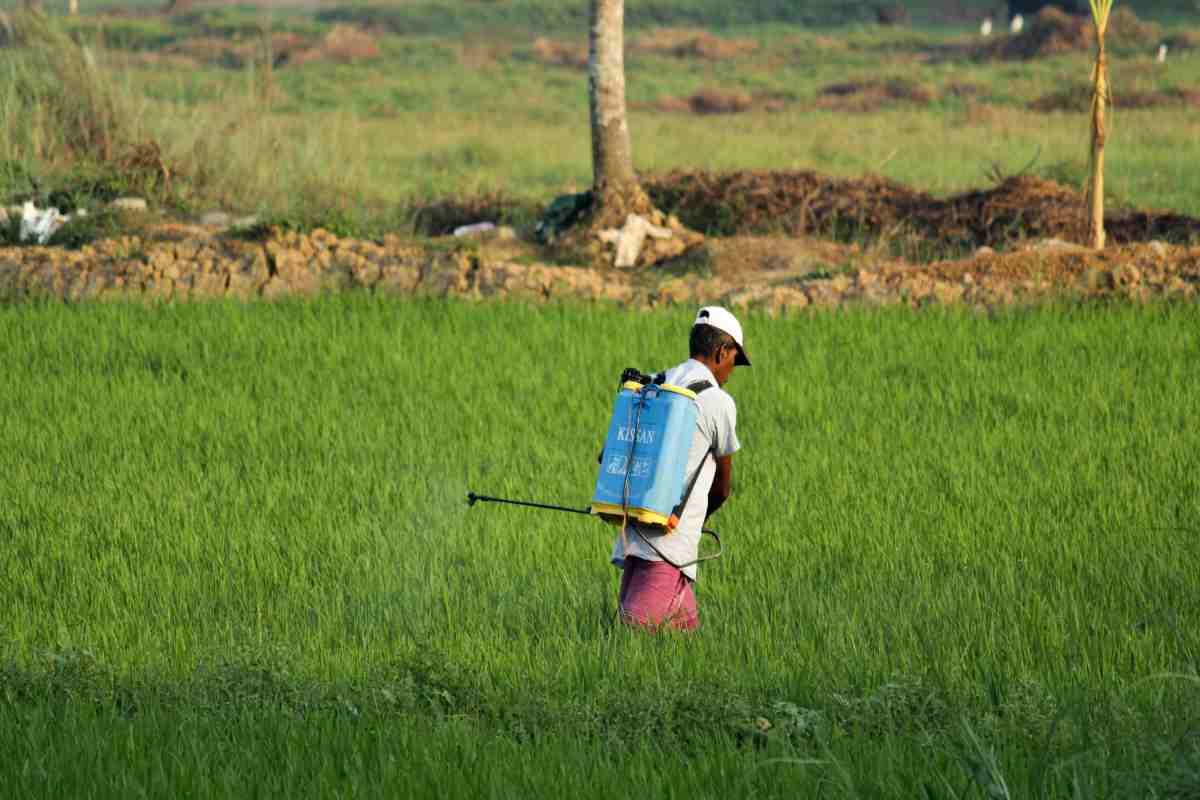 Addio pesticidi grazie all'Italia