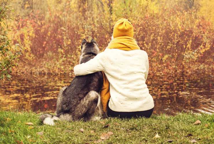 La legge permette agli animali di diventare eredi?