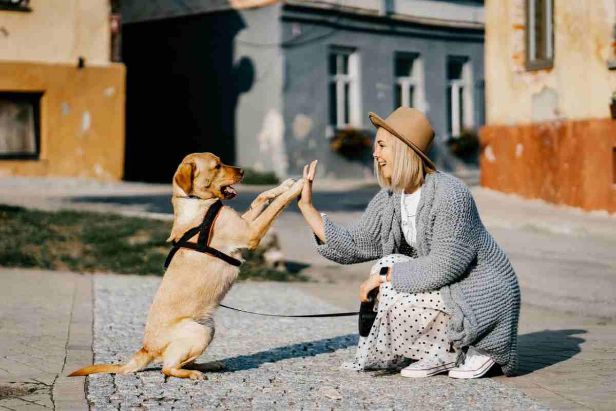 Multe in arrivo per i proprietari dei cani
