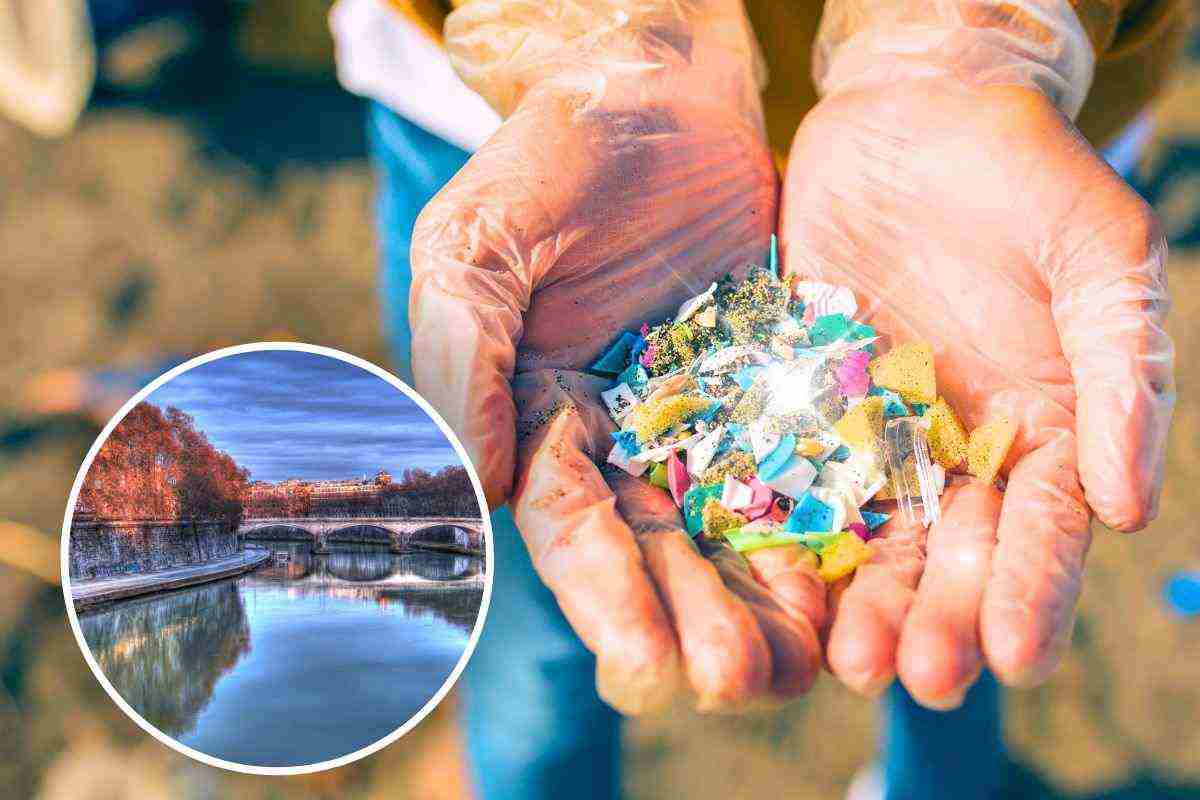 Allarme microplastiche nel Tirreno