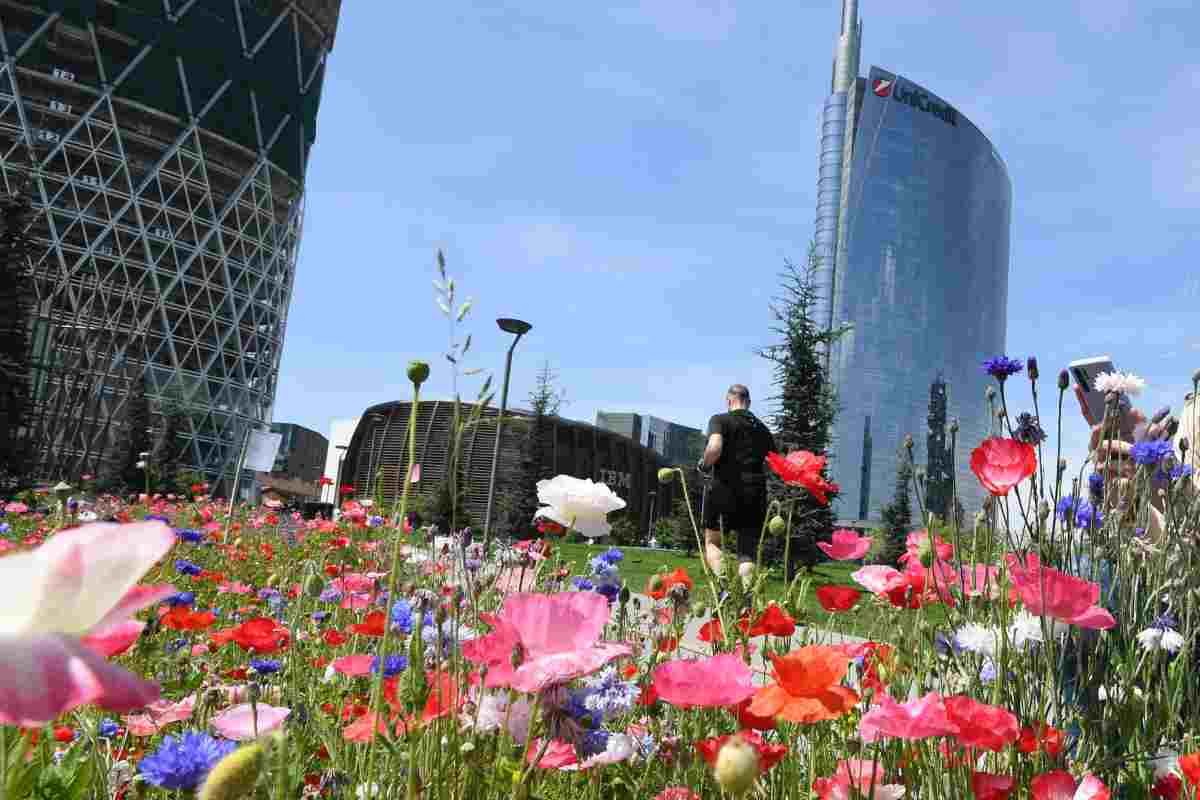 Nuovo progetto per il verde di Milano