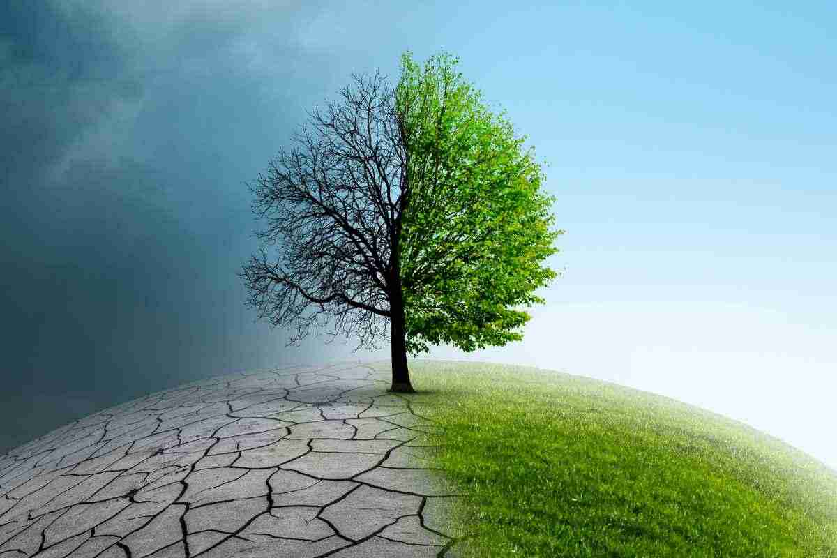 Cambiamento climatico: nasce un progetto