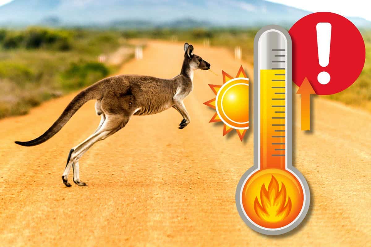 Il caldo record in Australia spaventa l'Europa