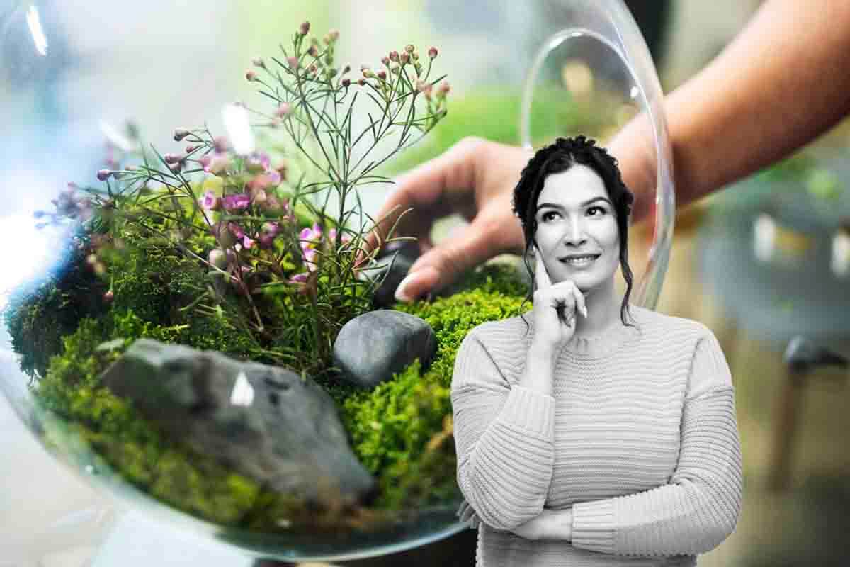 Come realizzare un ecosistema in bottiglia