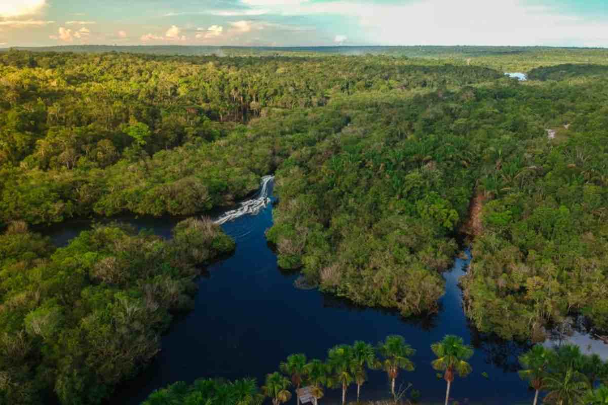 Allarme rosso per l'Amazzonia