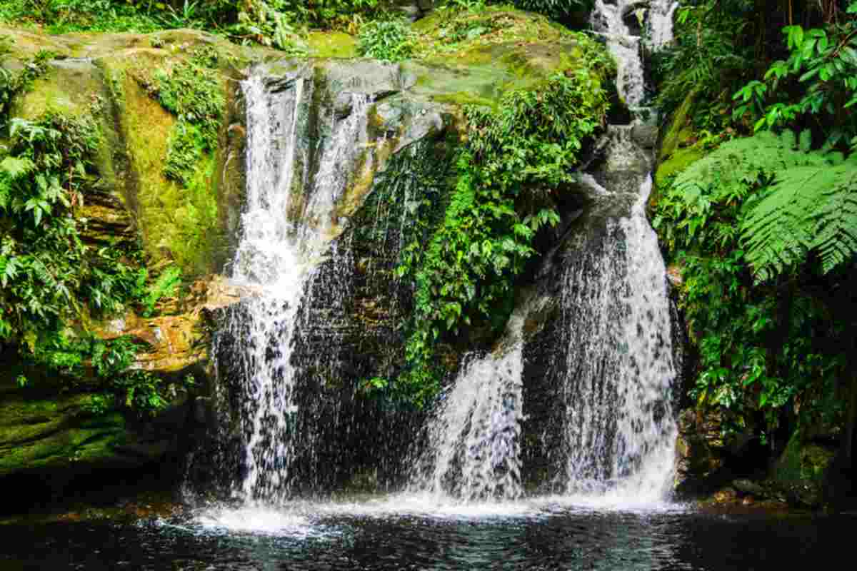 Battaglia per l'Amazzonia