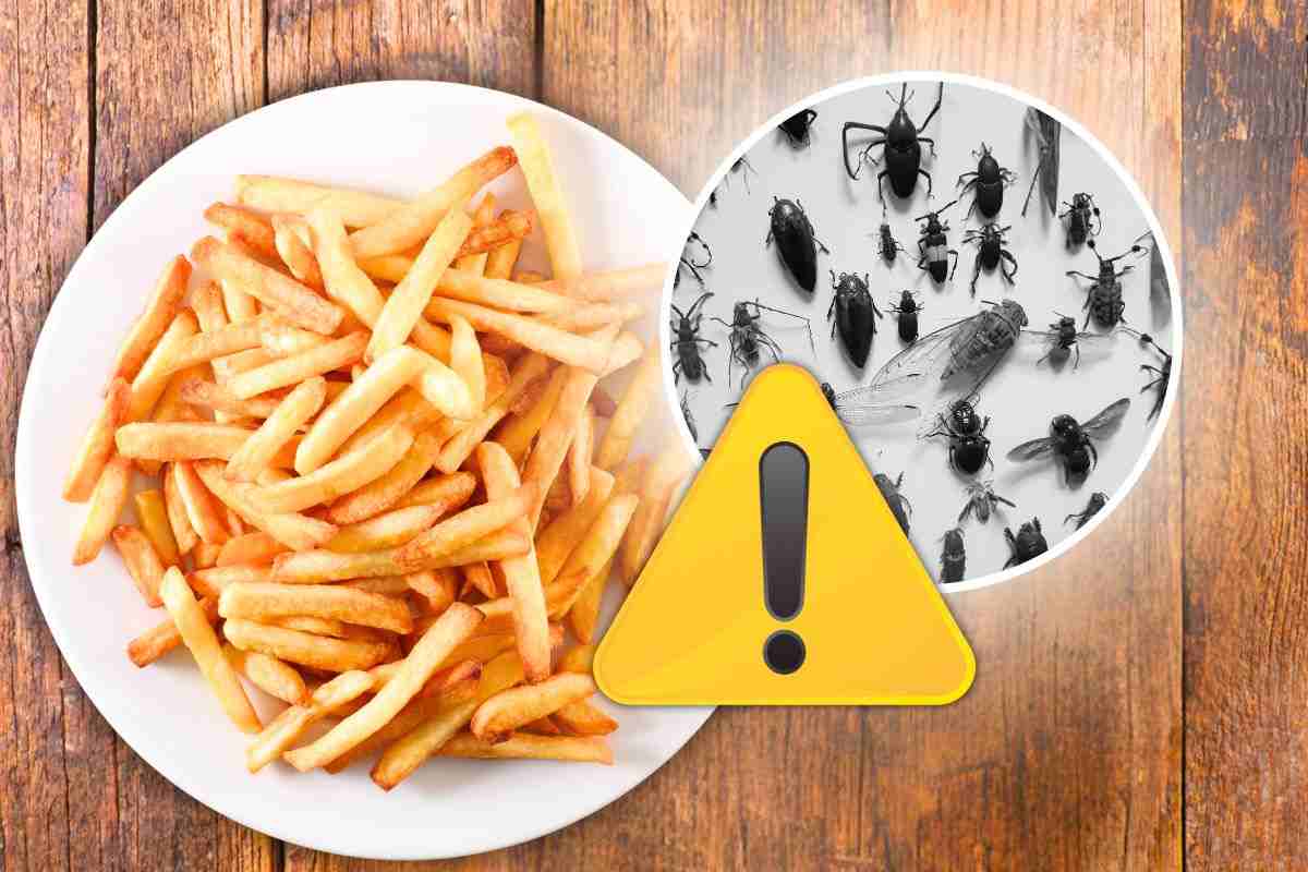 Allerta alimentare per queste patatine fritte