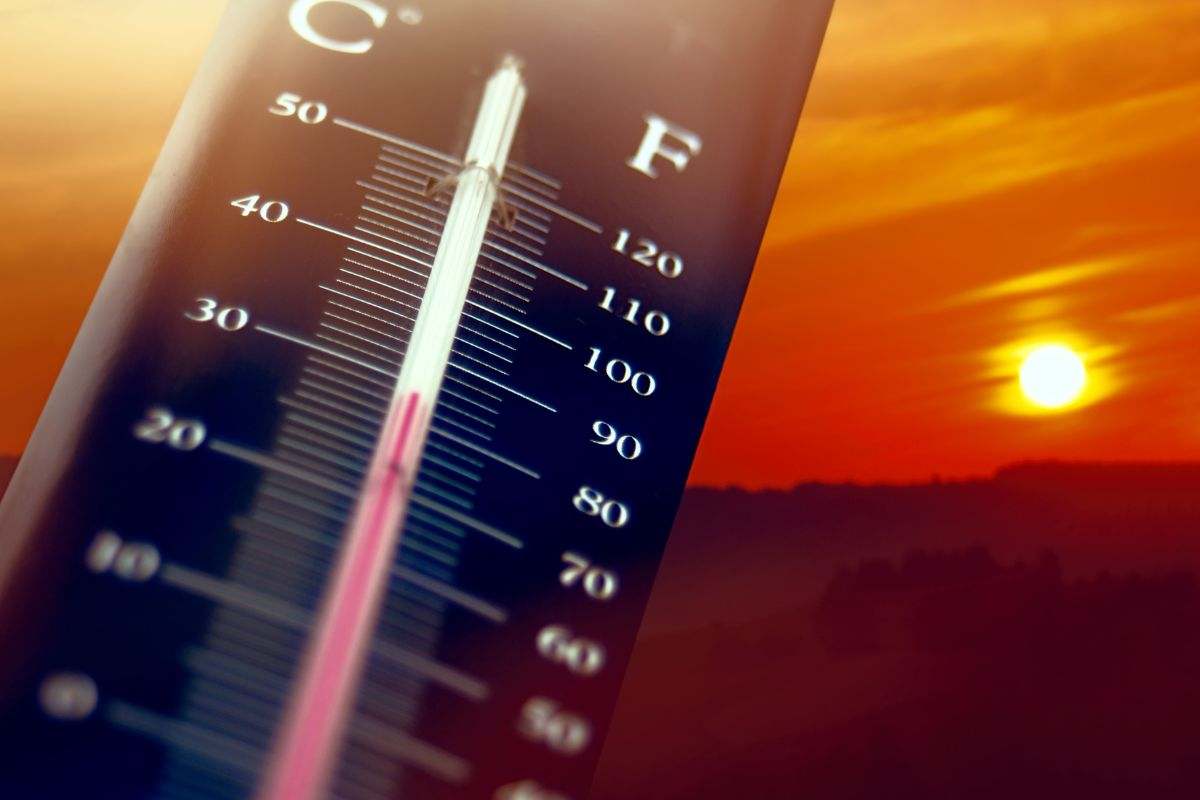 caldo anomalo problemi ambiente