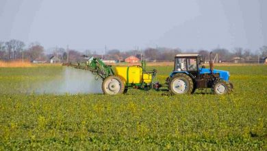 Il piano UE per tagliare le emissioni agricole