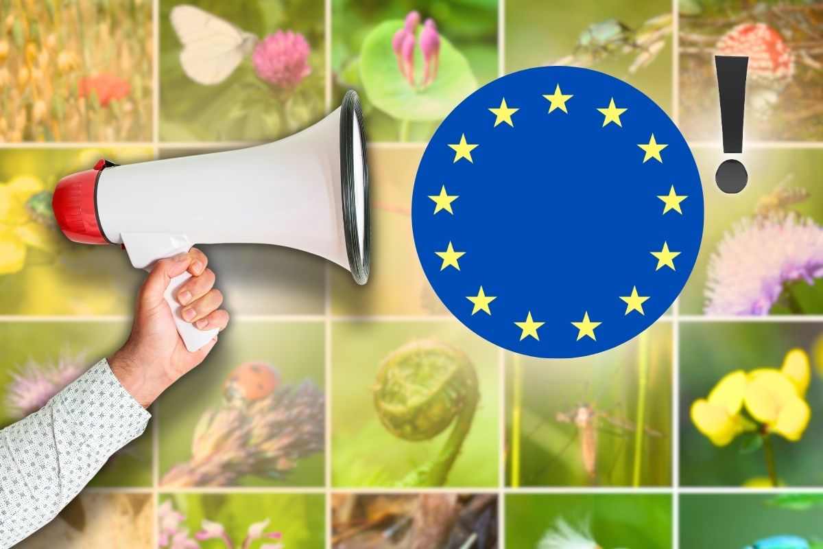 L'avvertimento dell'Ue, solo due mesi di tempo per l'Italia