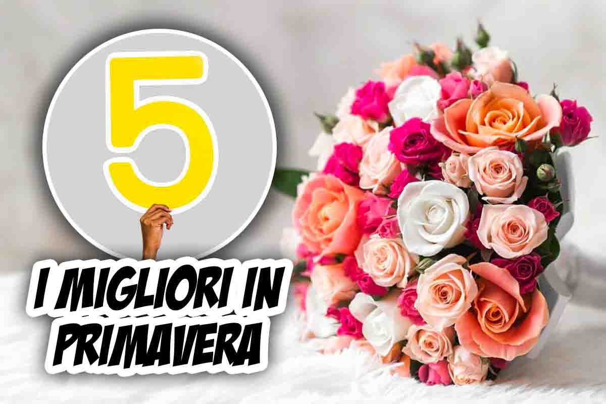 bouquet fiori primavera
