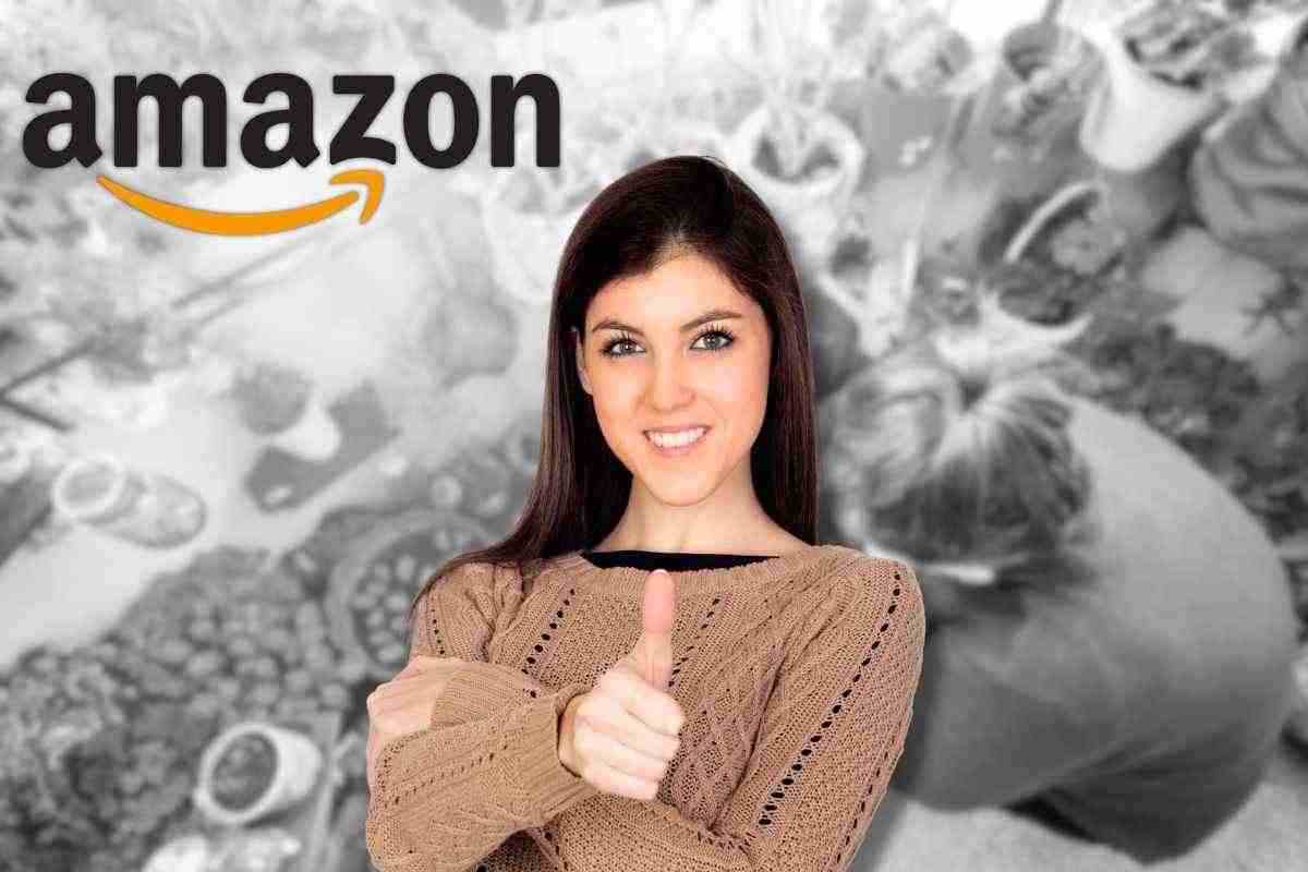 Amazon trovi tutto per costruire il tuo orto verticale