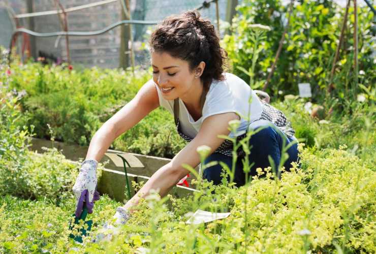 Benefici del giardinaggio per il corpo