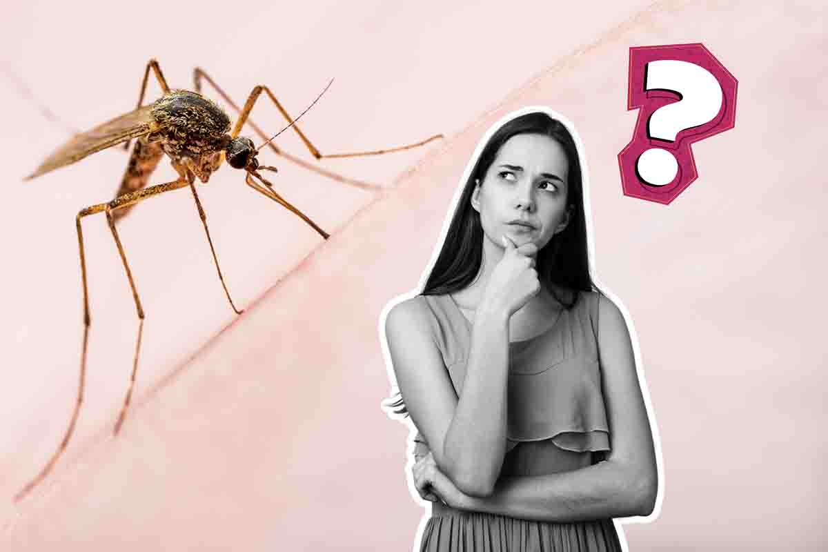 Bonus per proteggersi dal pericolo delle zanzare e della Dengue