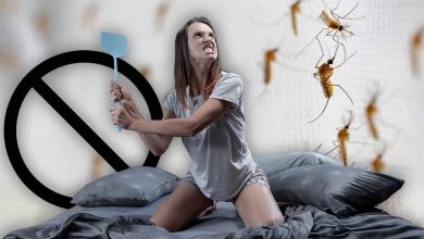 I rimedi naturali contro le zanzare