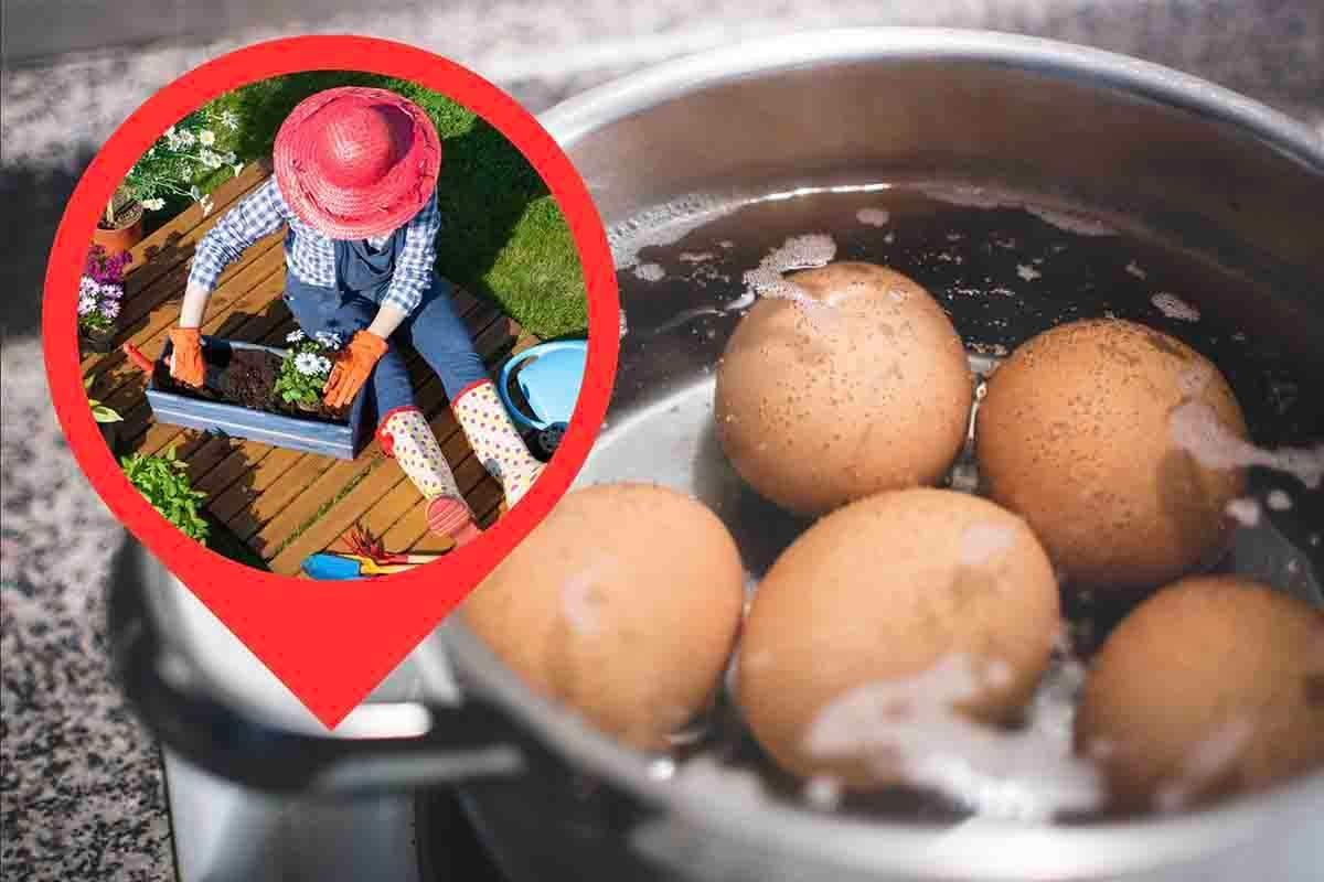 metodo acqua cottura uova sode giardino