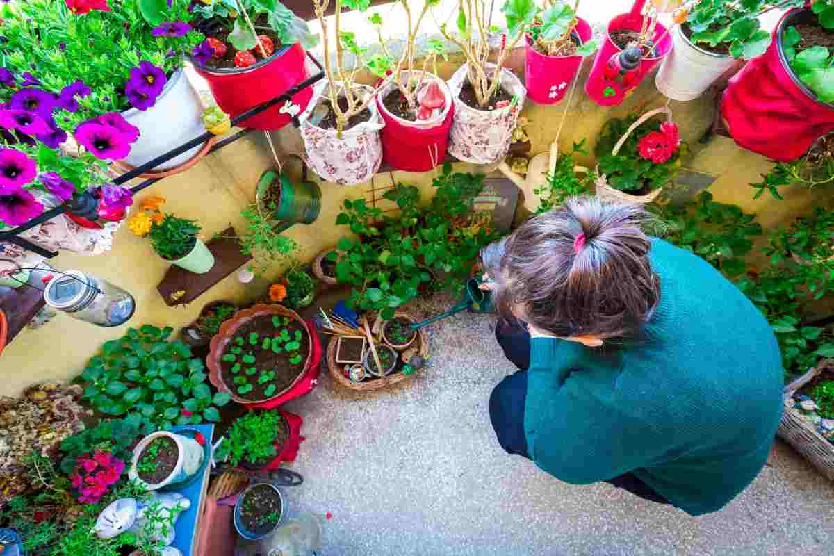 come avere un balcone fiorito anche a marzo