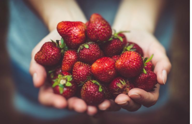 Fragole scelta del vaso