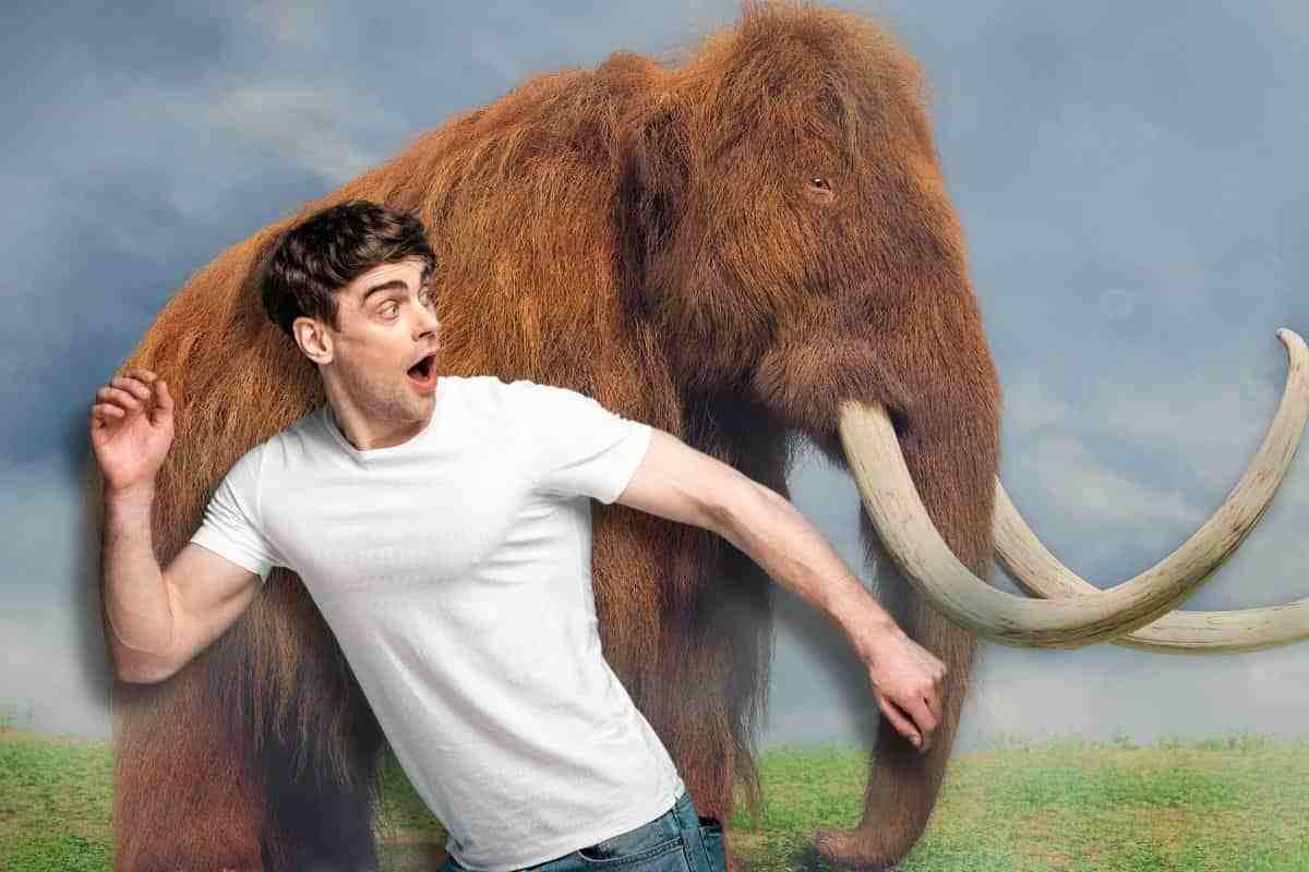 mammut potrebbero ricomparire sulla terra