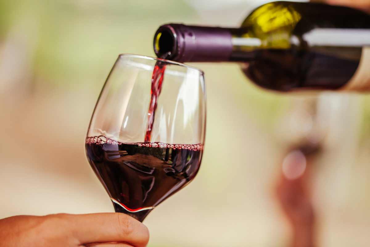 miglior vino meno 10 euro aglianico
