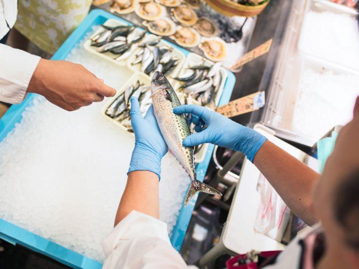 errori acquisto pesce