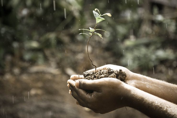 come recuperare acqua piovana per innaffiare giardino senza pesare sulla bolletta