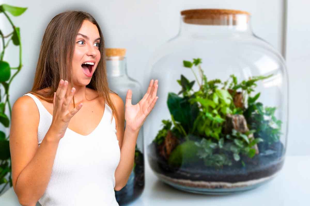 come realizzare un terrarium fai da te