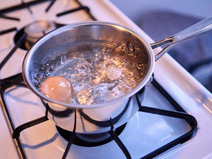 acqua cottura uova piante importante