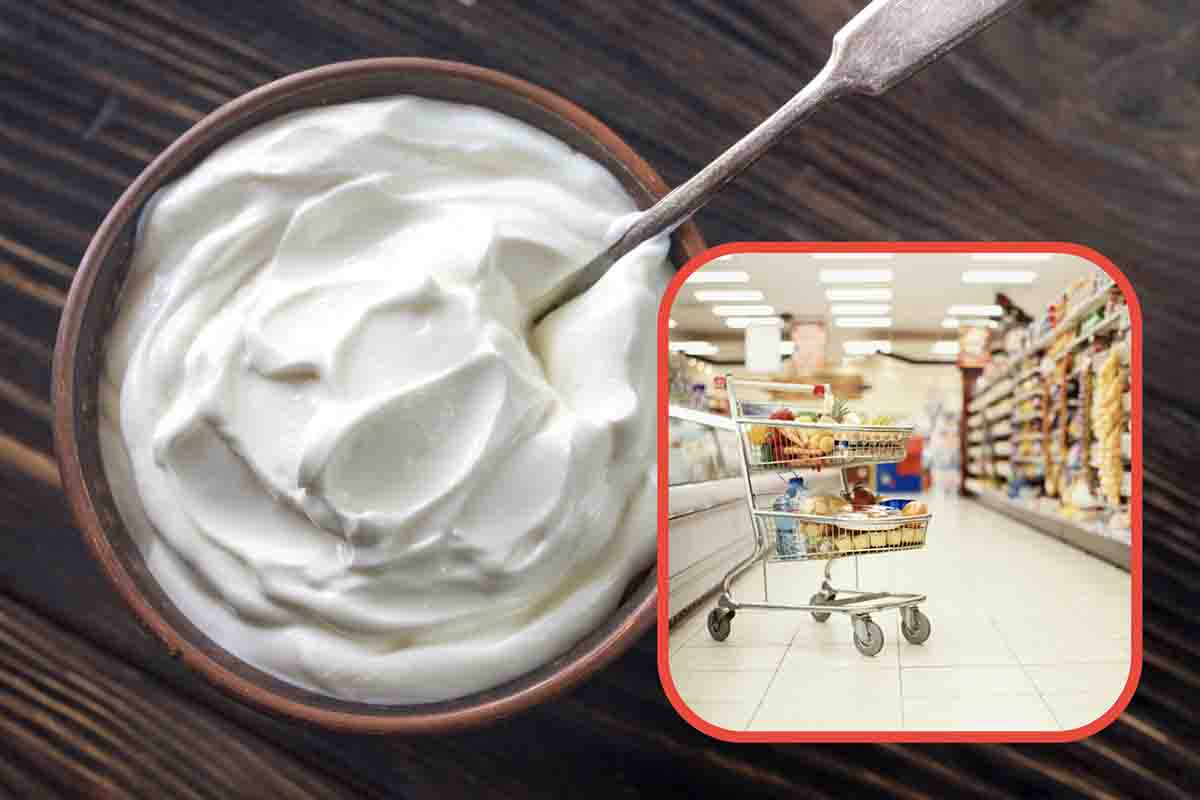 Yogurt fatto in casa ricetta