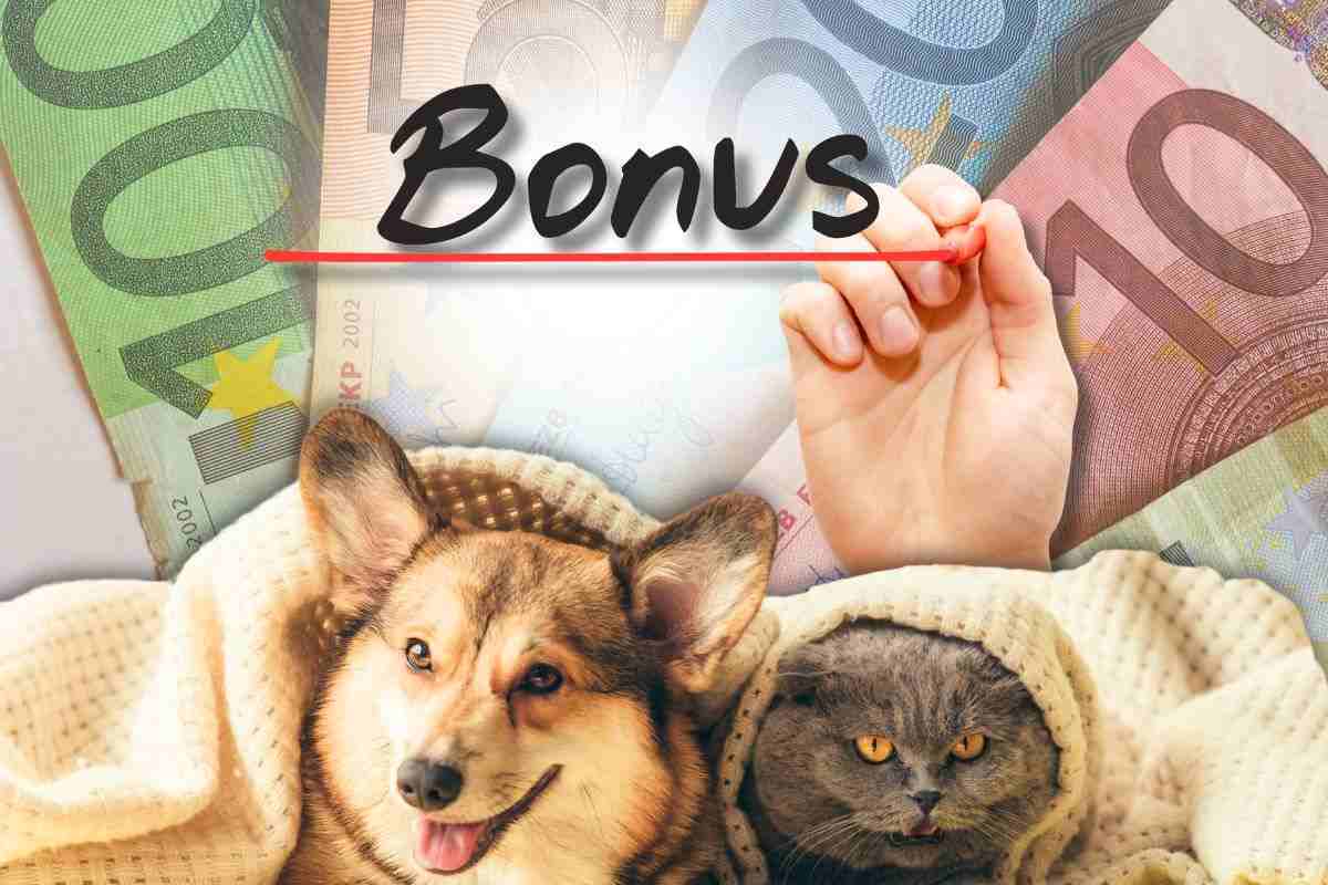Bonus animali domestici 2024