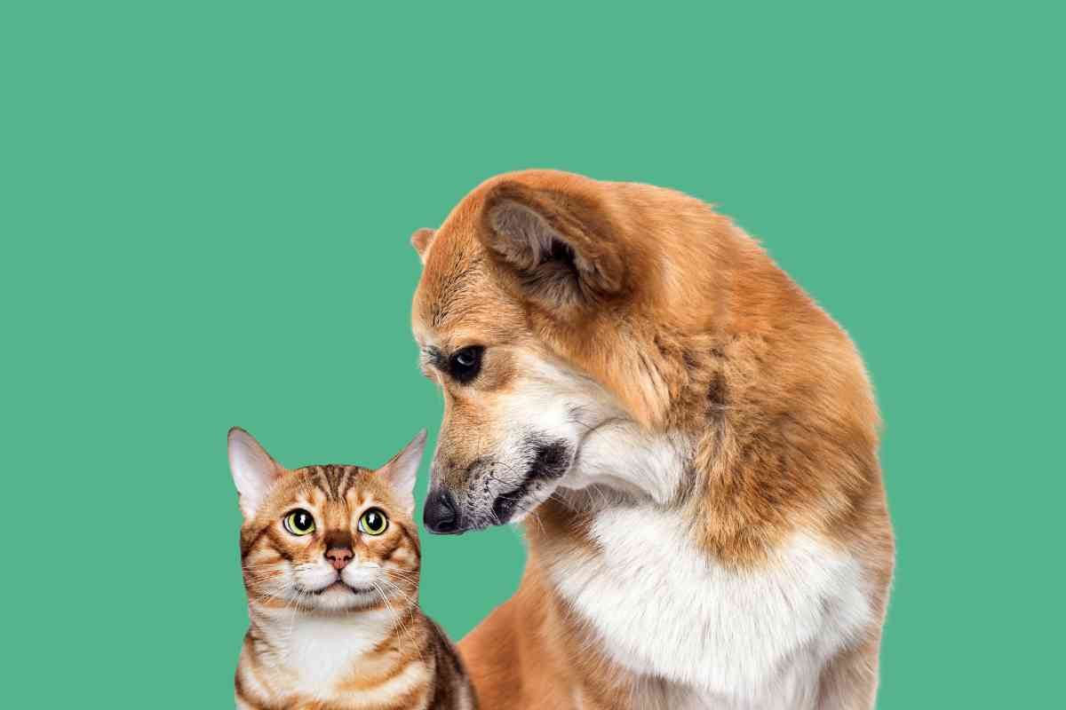 Arriva il Bonus per animali domestici