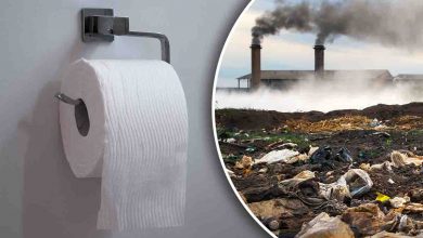 Qual è l'impatto ambientale della carta igienica
