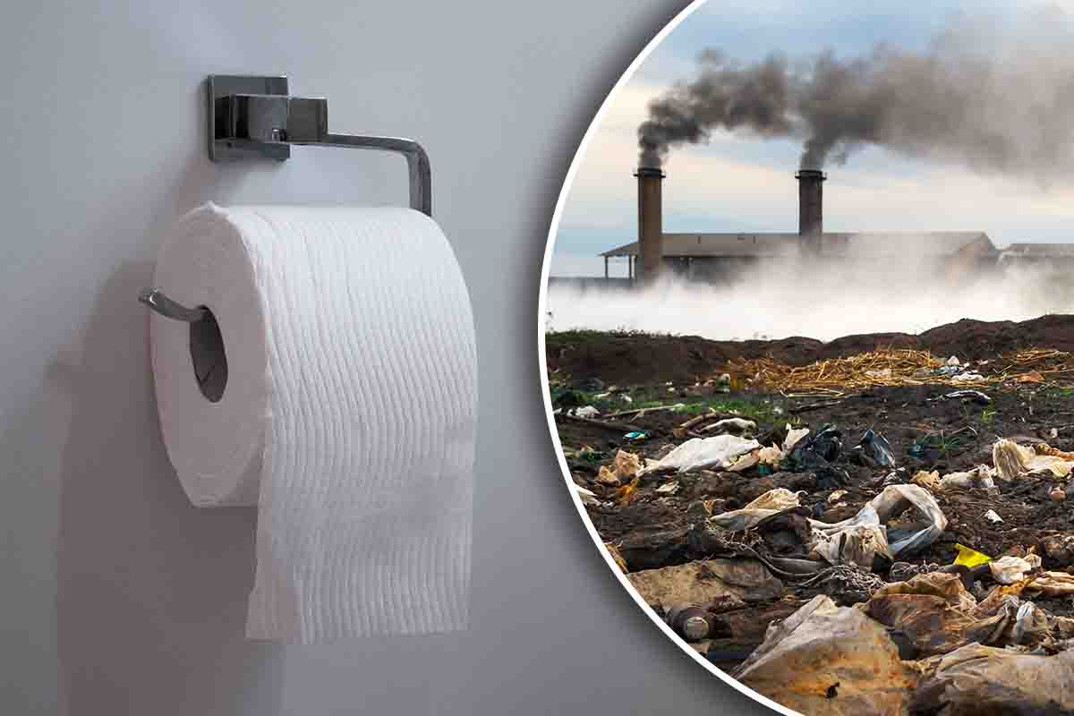 Qual è l'impatto ambientale della carta igienica