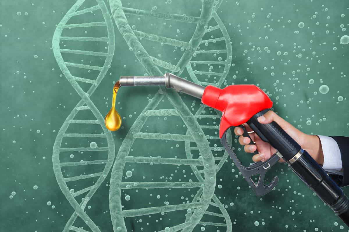 Por qué nos atrae tanto el olor a gasolina: Hay una explicación biológica, pero hay que tener cuidado