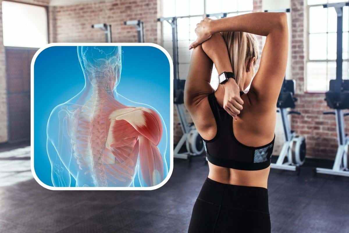 Esercizi per aumentare la massa muscolare
